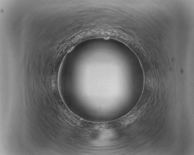 X0000060241490200510311508