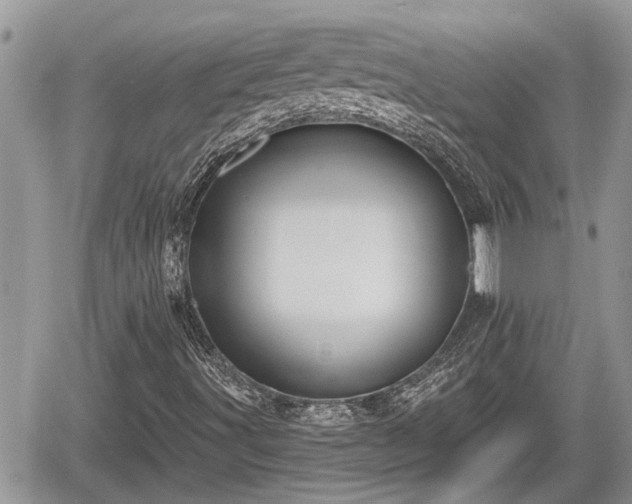 X0000060241491200510311508