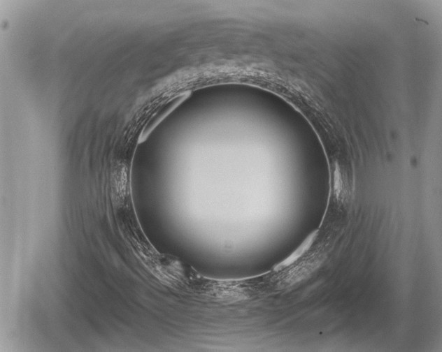 X0000060241492200510311508