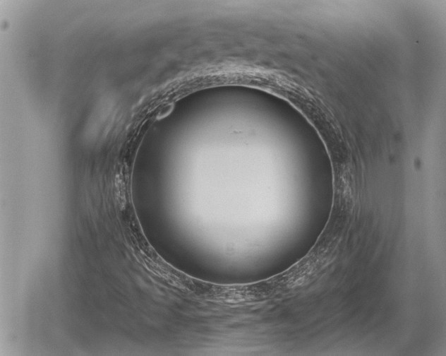 X0000060241493200510311508