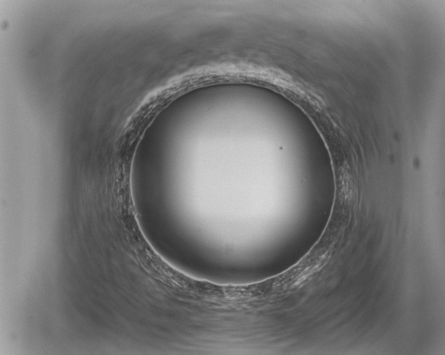 X0000060241494200510311508