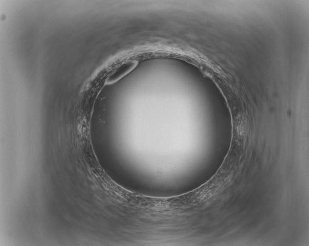 X0000060241495200510311508