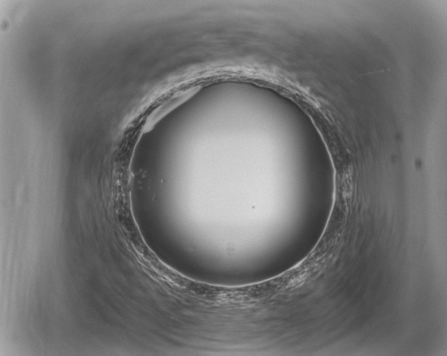 X0000060241496200510311508