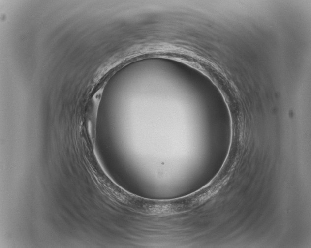 X0000060241497200510311508