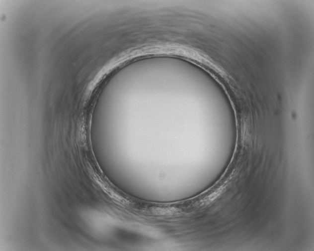 X0000060241498200510311508