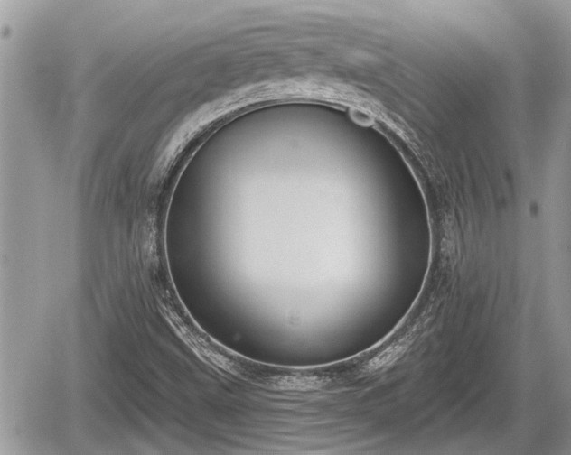 X0000060241499200510311508