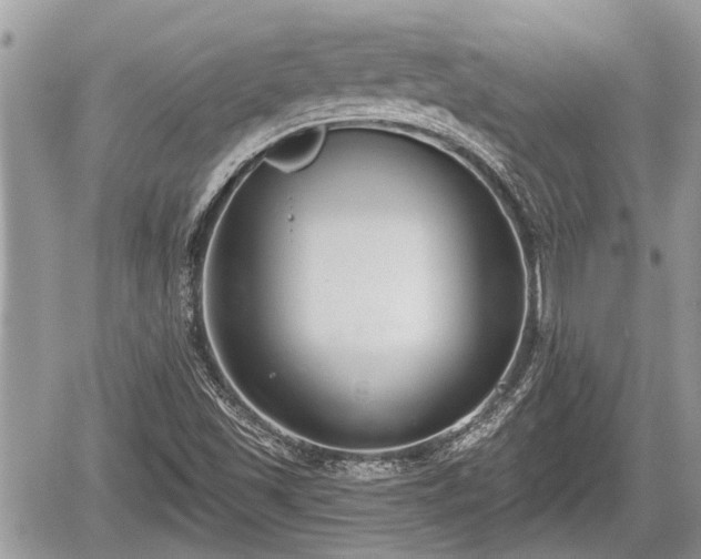 X0000060241501200510311508