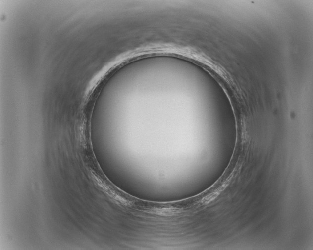 X0000060241502200510311508