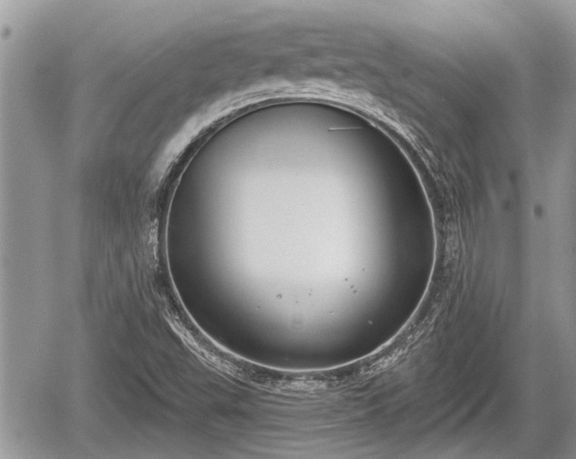 X0000060241503200510311508