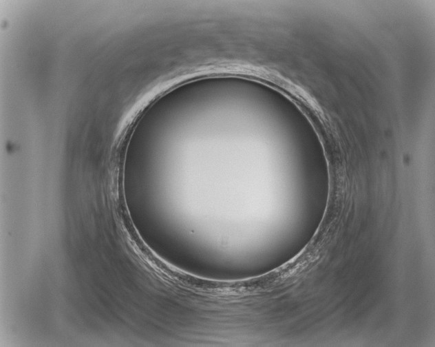 X0000060241504200510311508