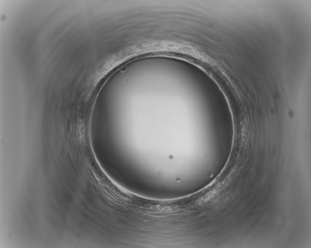 X0000060241505200510311508