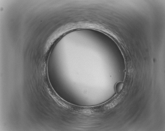 X0000060241507200510311508