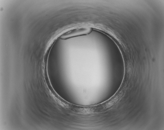 X0000060241508200510311508