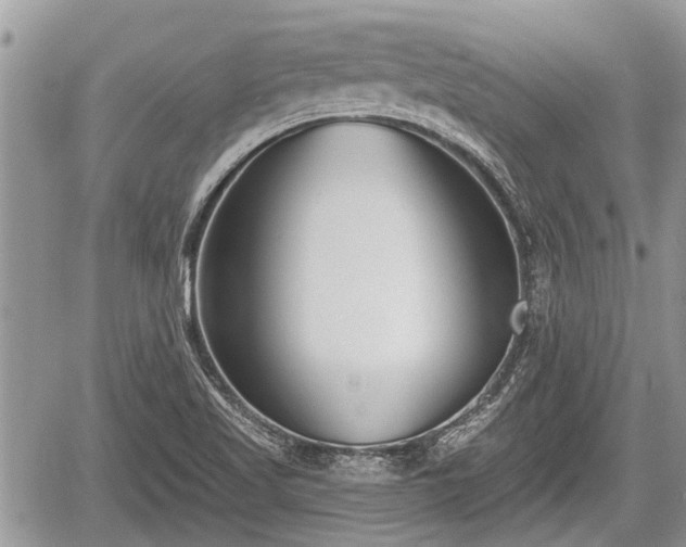 X0000060241509200510311508