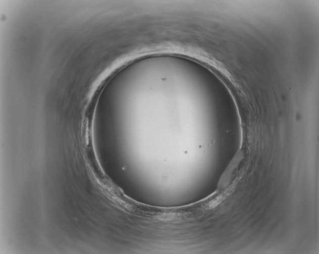 X0000060241510200510311508