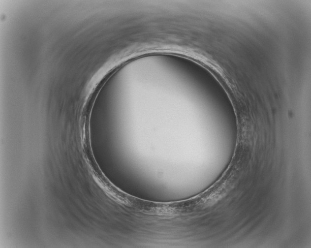 X0000060241511200510311508