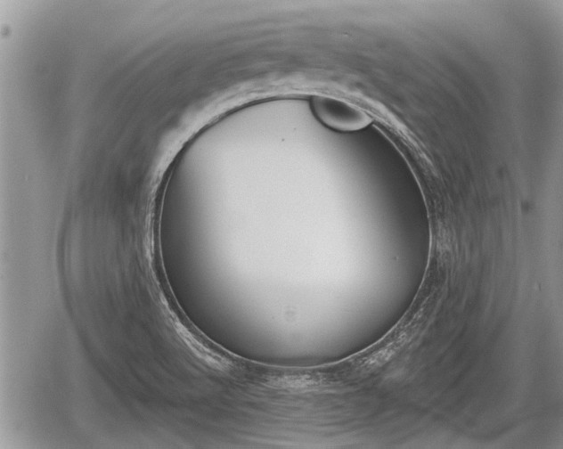 X0000060241512200510311508