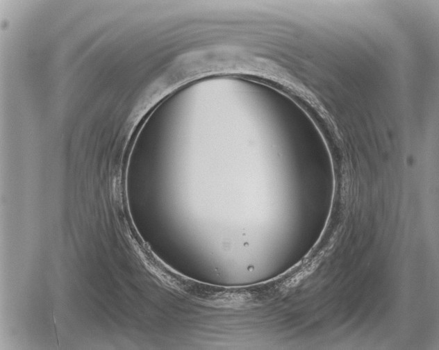 X0000060241513200510311508