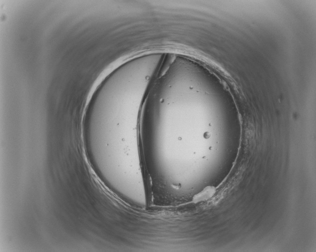 X0000060241514200510311508