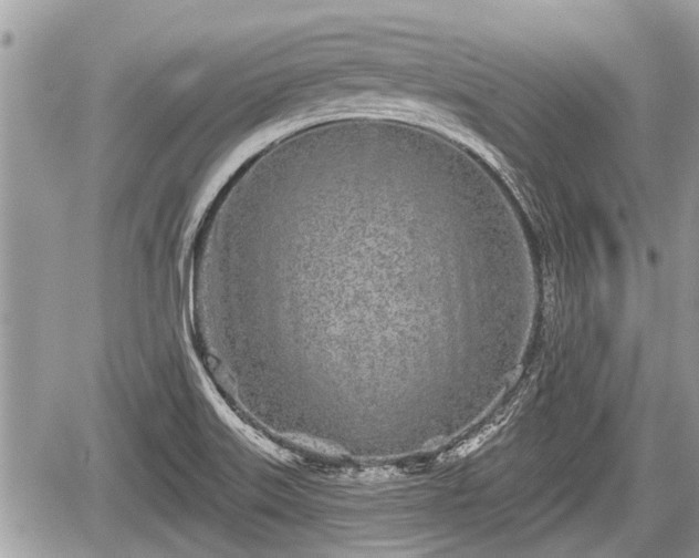 X0000060241515200510311508