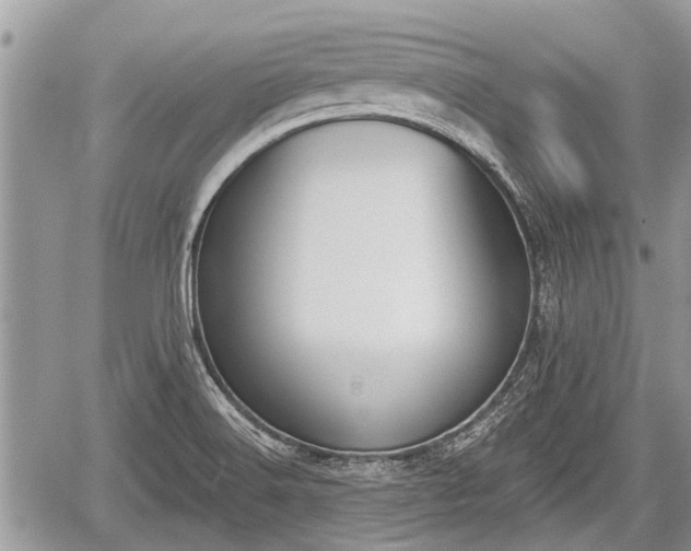 X0000060241516200510311508