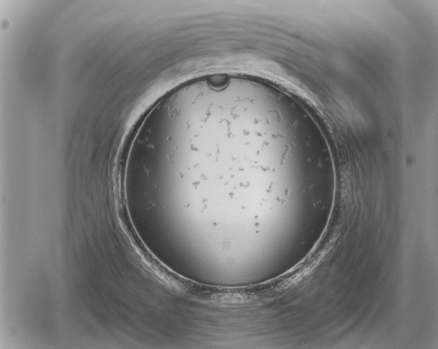 X0000060241517200510311508