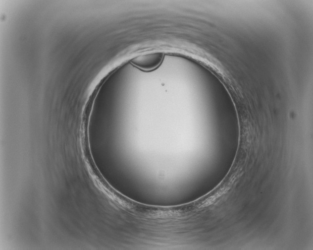 X0000060241518200510311508