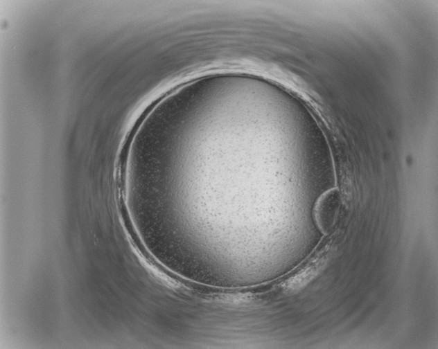 X0000060241519200510311508