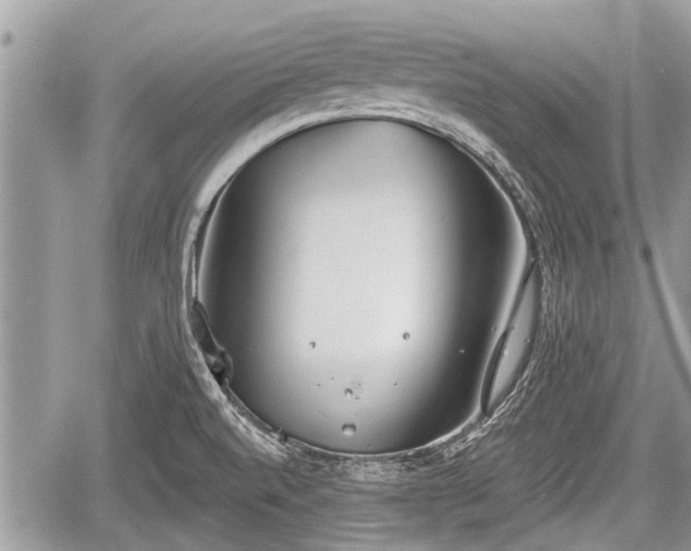 X0000060241520200510311508