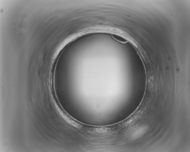 X0000060241523200510311509