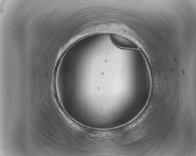 X0000060241525200510311509