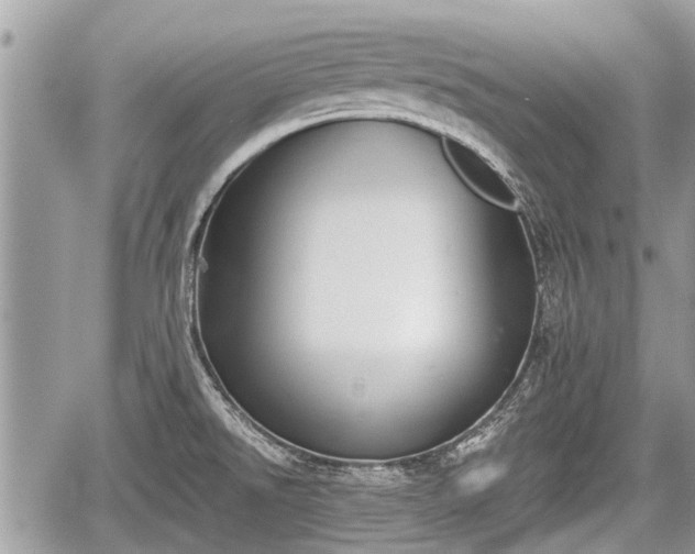 X0000060241526200510311509