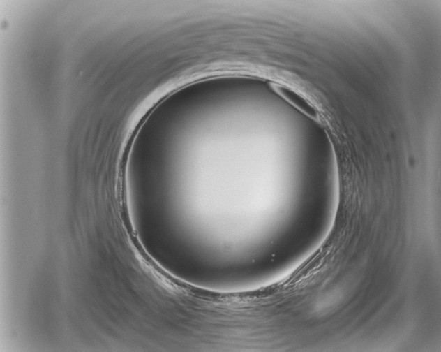 X0000060241527200510311509