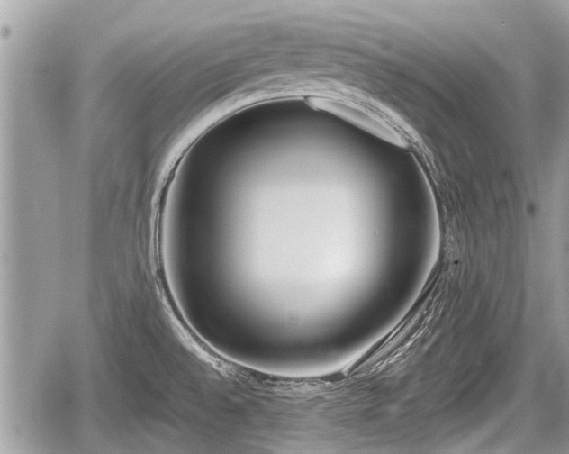 X0000060241528200510311509