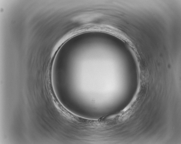 X0000060241530200510311509