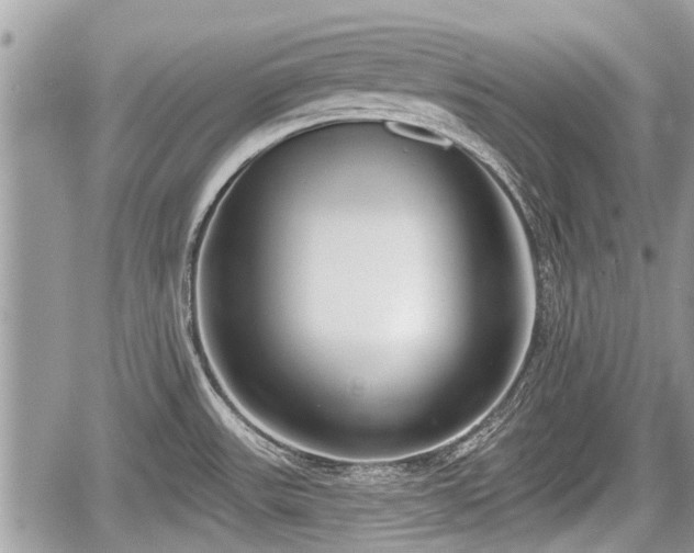 X0000060241531200510311509