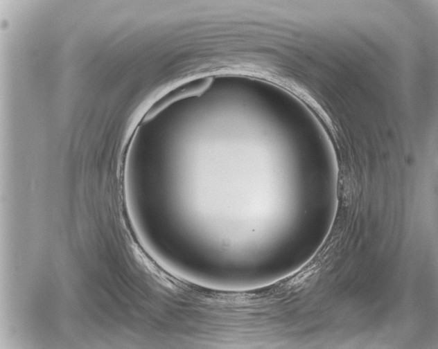 X0000060241532200510311509