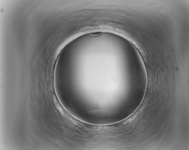 X0000060241534200510311509