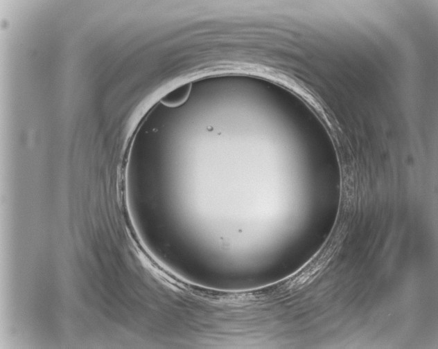 X0000060241535200510311509