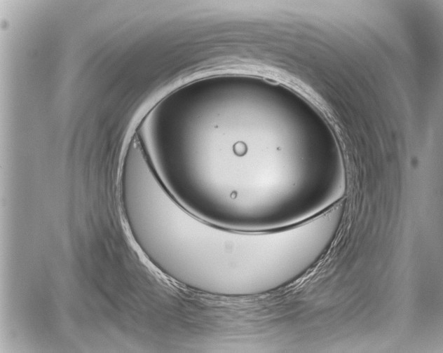 X0000060241536200510311509