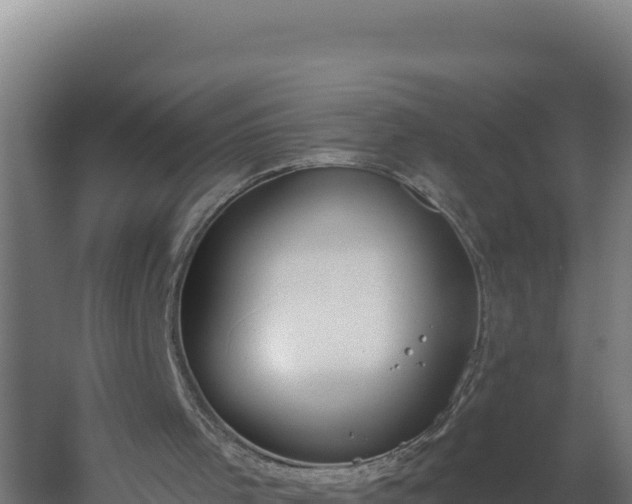 X0000060240001200511041309