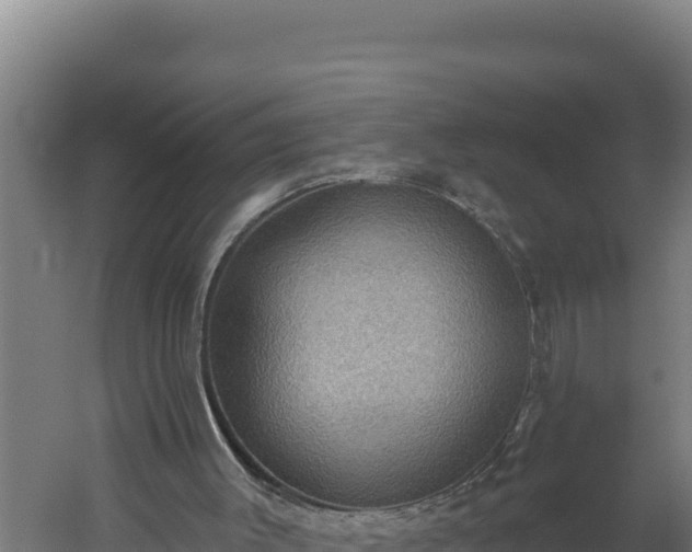 X0000060240003200511041309