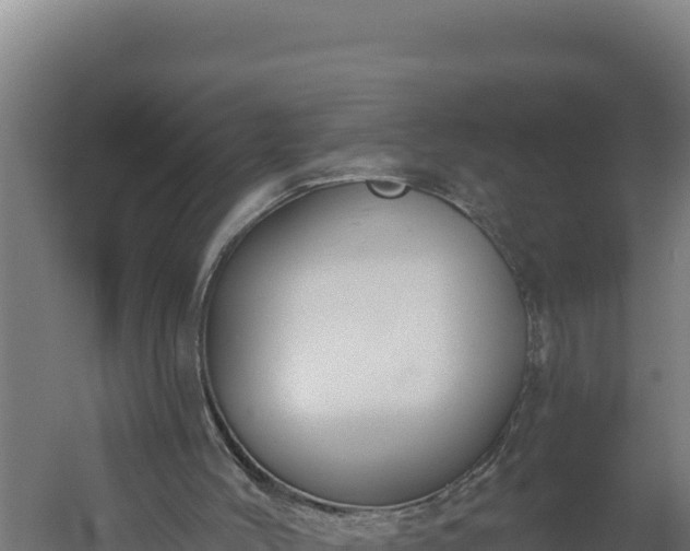 X0000060240004200511041309