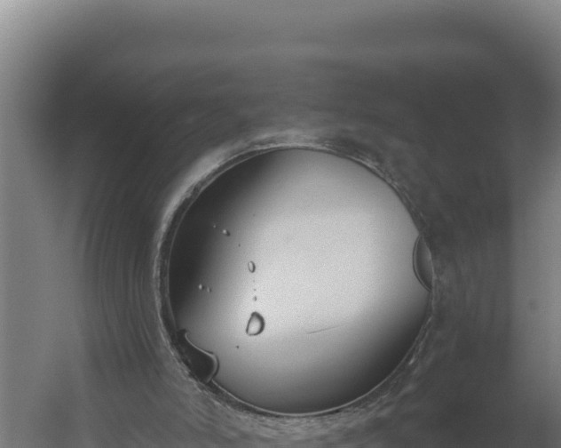 X0000060240006200511041309