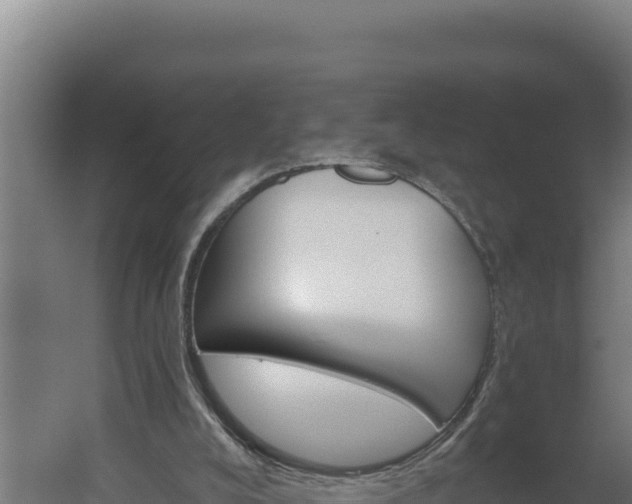 X0000060240008200511041309