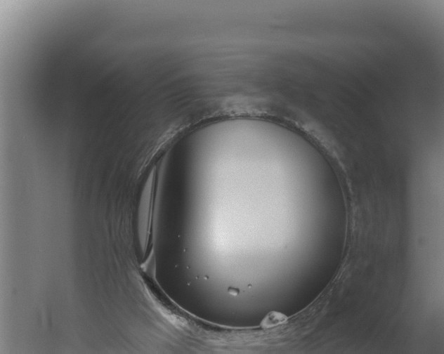 X0000060240009200511041309