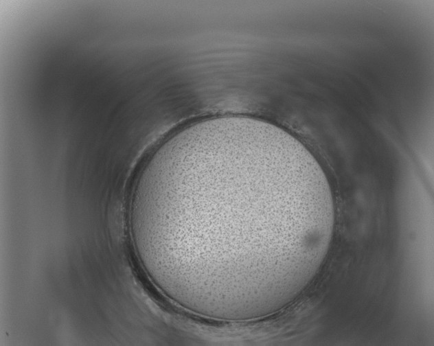 X0000060240012200511041309