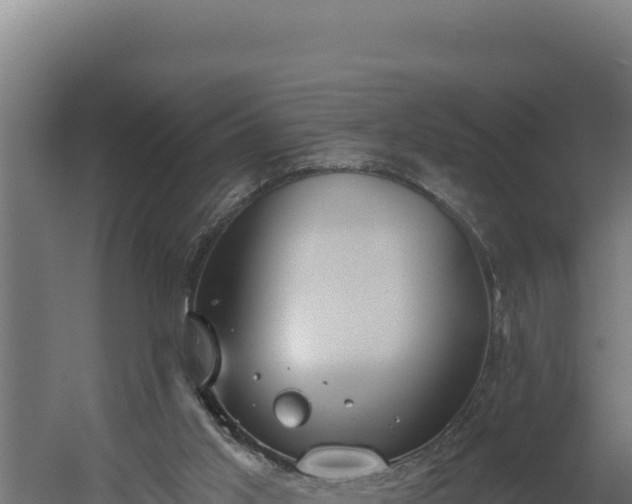 X0000060240013200511041309