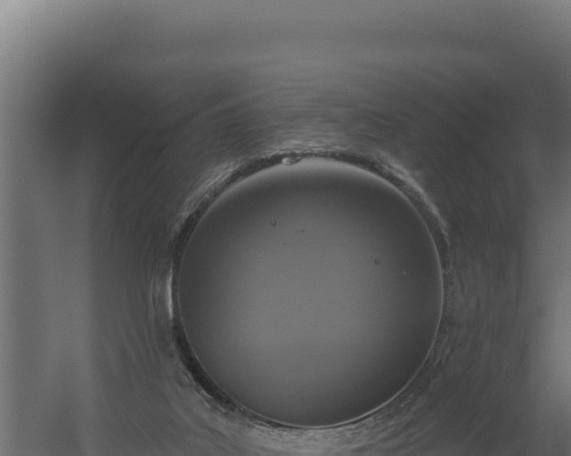 X0000060240019200511041309