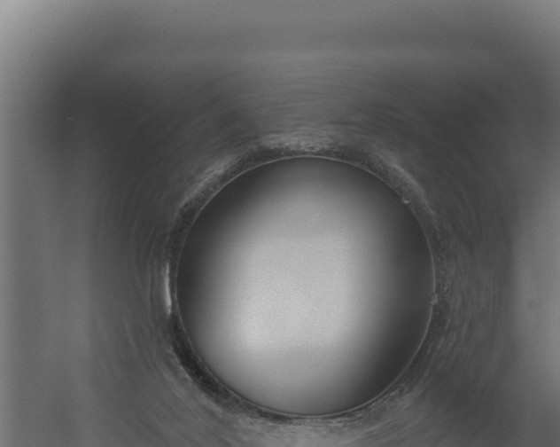 X0000060240020200511041309